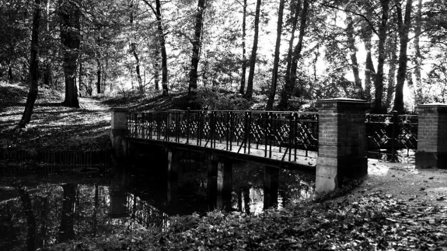 Fotografie