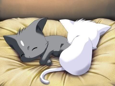 Cute Anime on Super Freakin Cute Anime    Adorable Anime Kittens Picture By 17yuki17