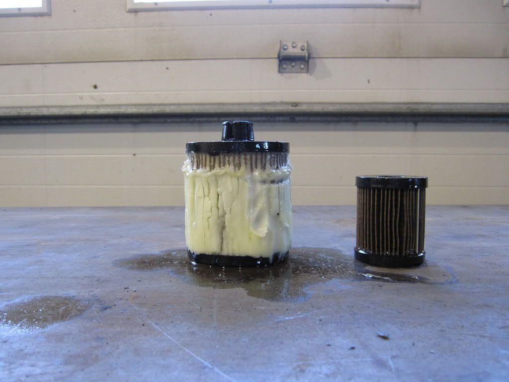 Fuel Filter | Ford Powerstroke Diesel Forum