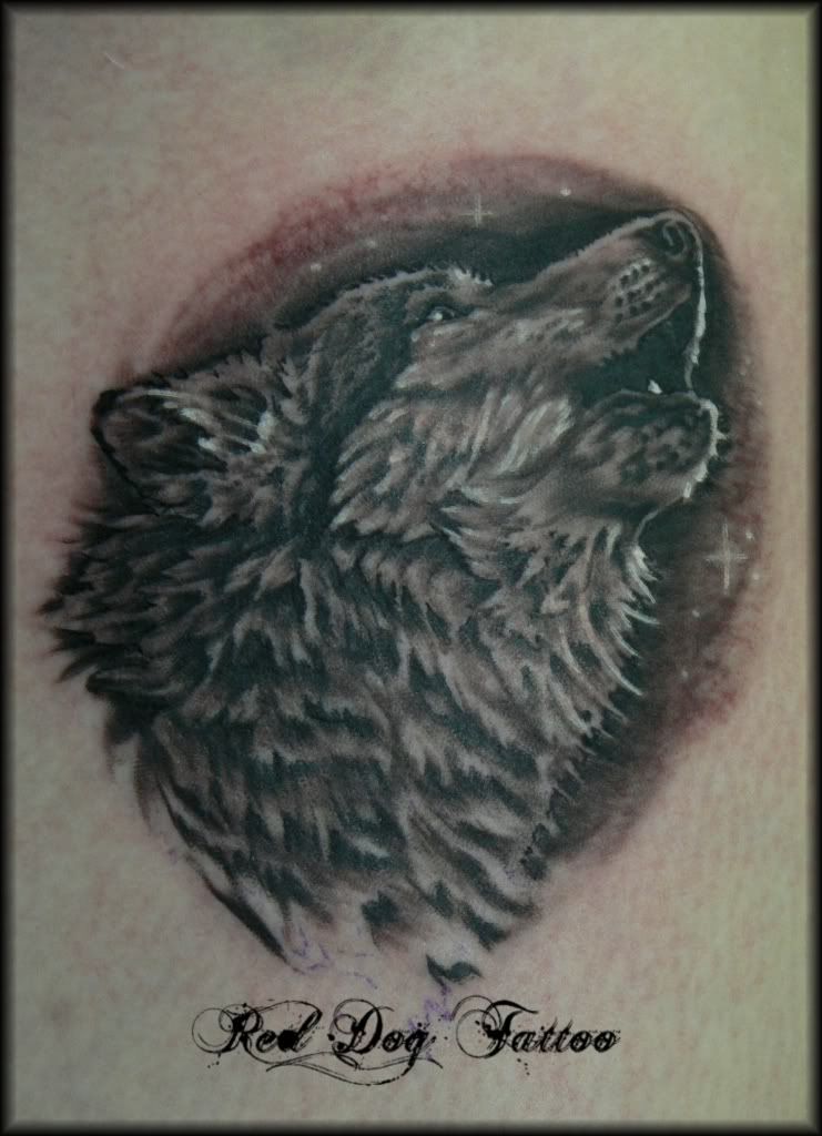 Wolf.jpg Wolf Tattoo