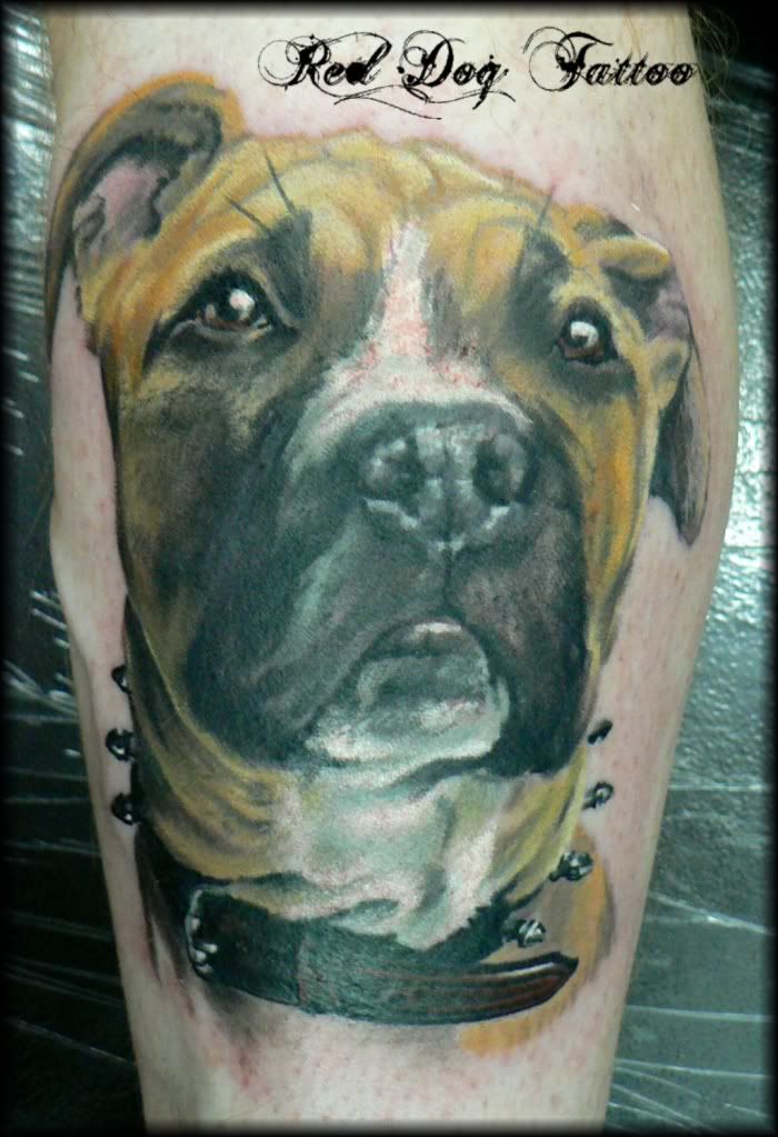 15.jpg Dog Tattoo