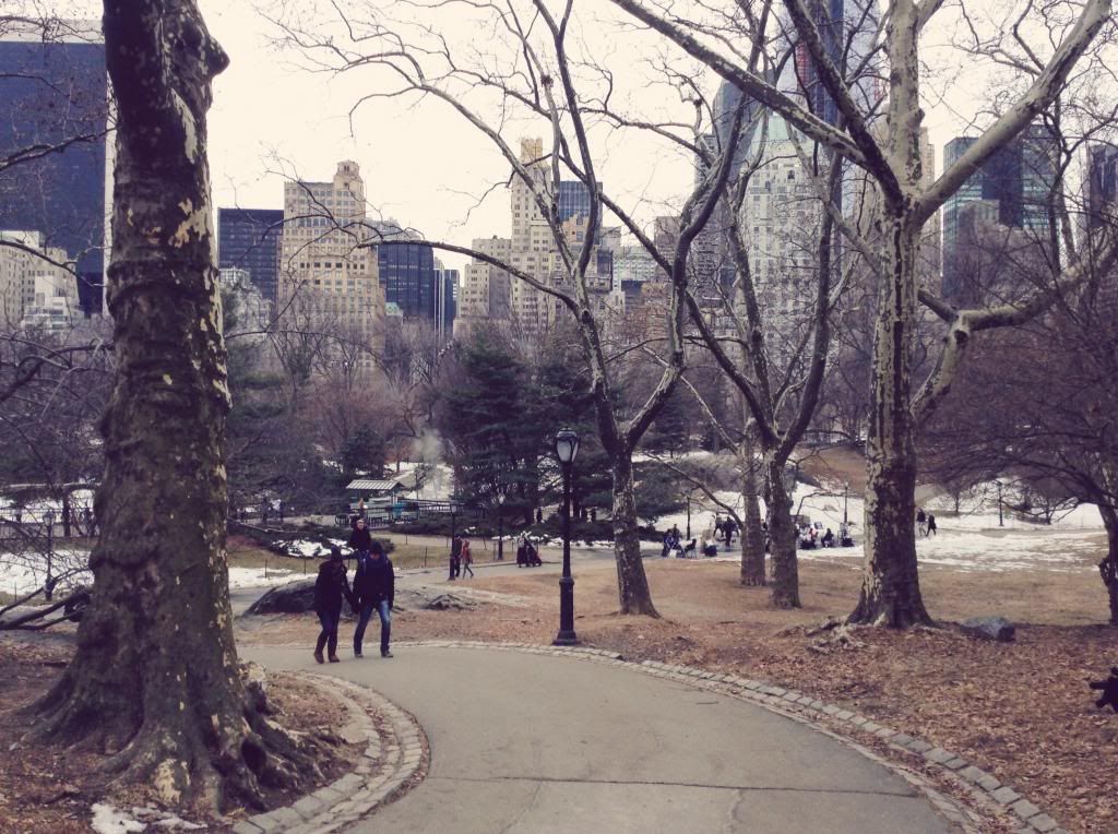 Central Park in Winter