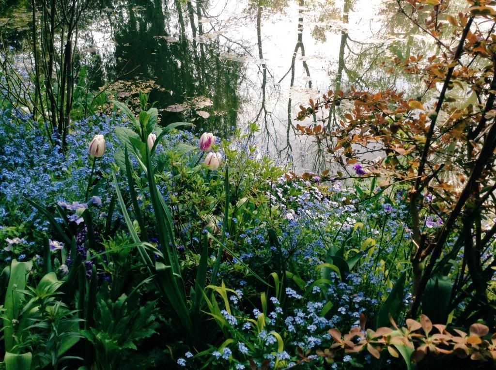 Monet's Pond