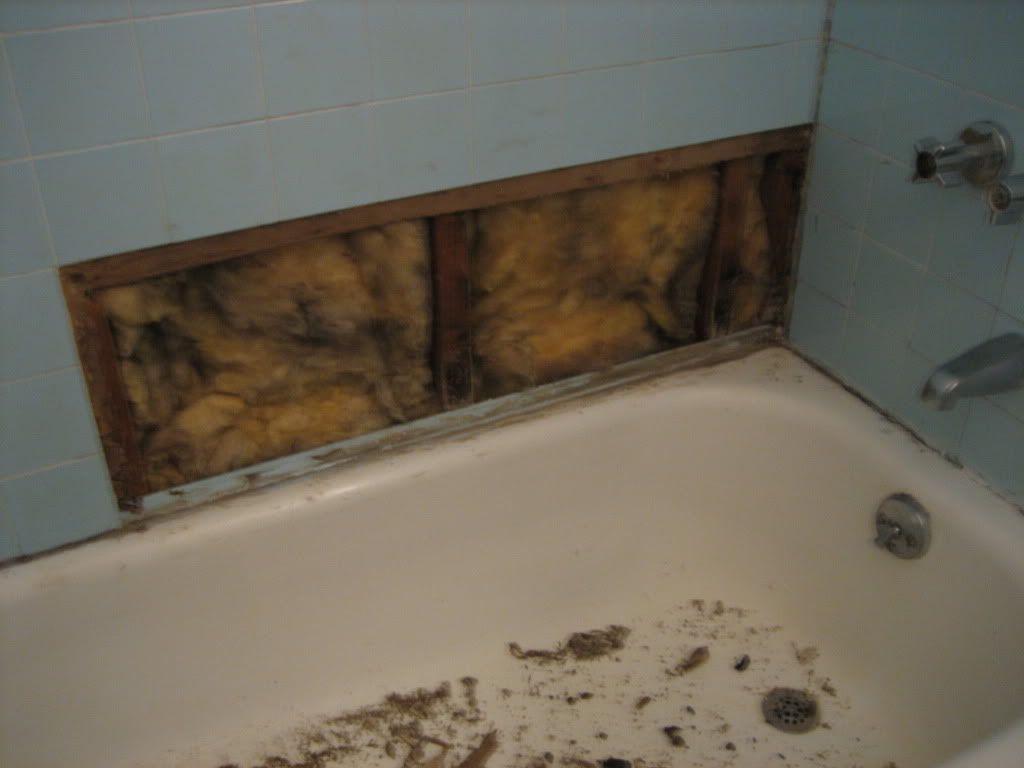 Mold In Bathroom Landlord Responsibility tenant-landlord bathroom dispute Mold In Bathroom Landlord Responsibility tenant-landlord bathroom dispute