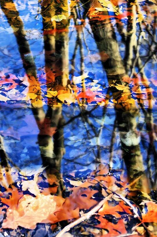 http://i952.photobucket.com/albums/ae5/myrtheshop3/herfst/dfr.jpg