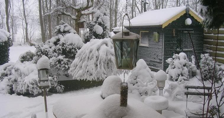 http://i952.photobucket.com/albums/ae5/myrtheshop3/kerst/sneeuw.jpg?t=1291282250