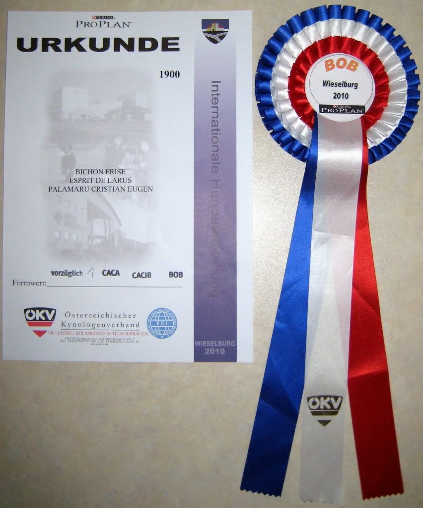 http://i952.photobucket.com/albums/ae5/xtrem_ro/2010%20aprilie%2011%20CACIB%20Wieselburg%20-%20Austria/EspritdeLarus-Diploma-CACIBWieselbu.jpg