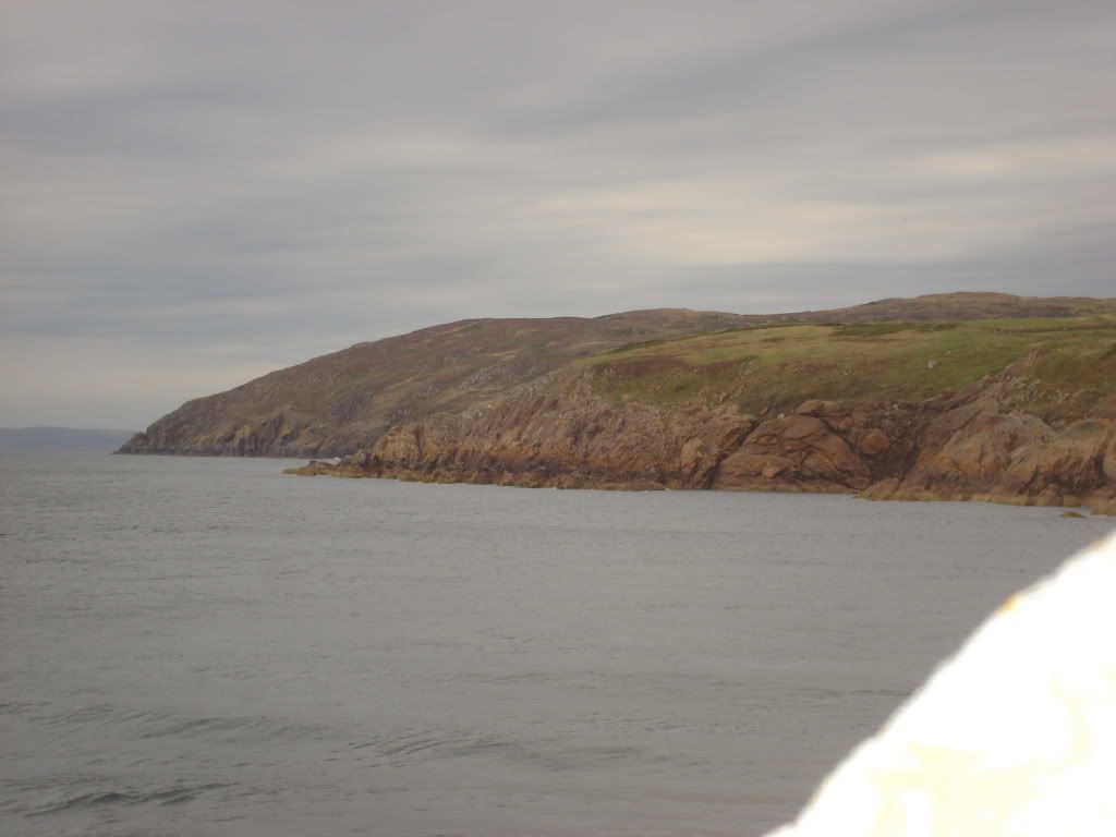 DSC03376.jpg