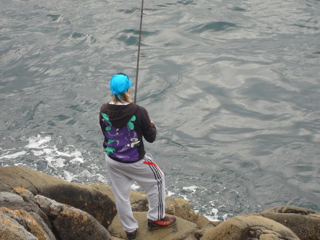 DSC03377.jpg