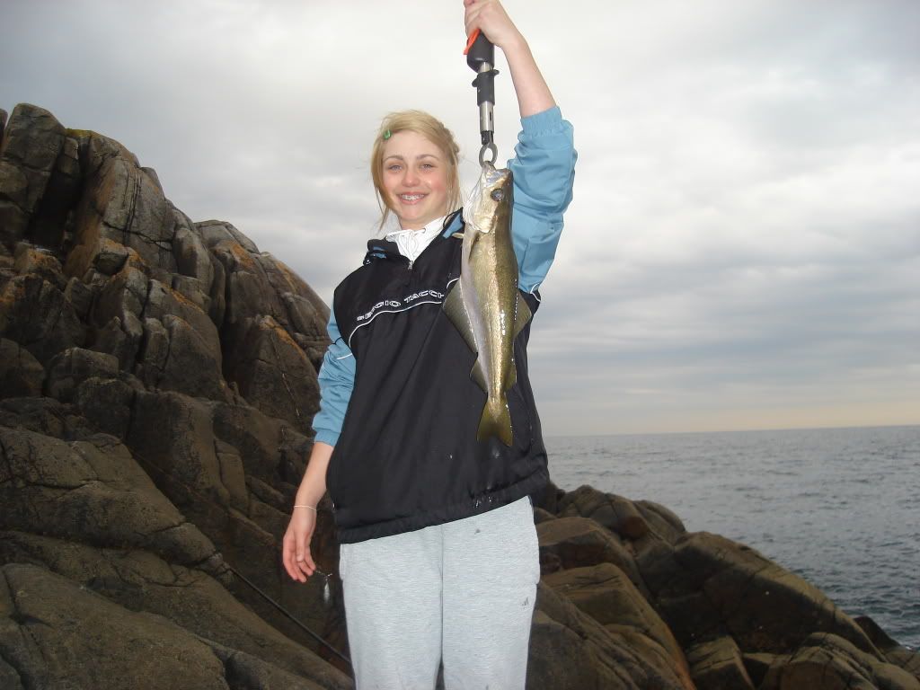 DSC03387.jpg