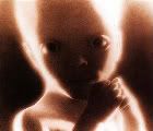 2001_a_space_odyssey_baby.jpg