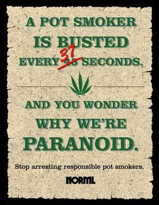 NORML_Paranoid_350.jpg