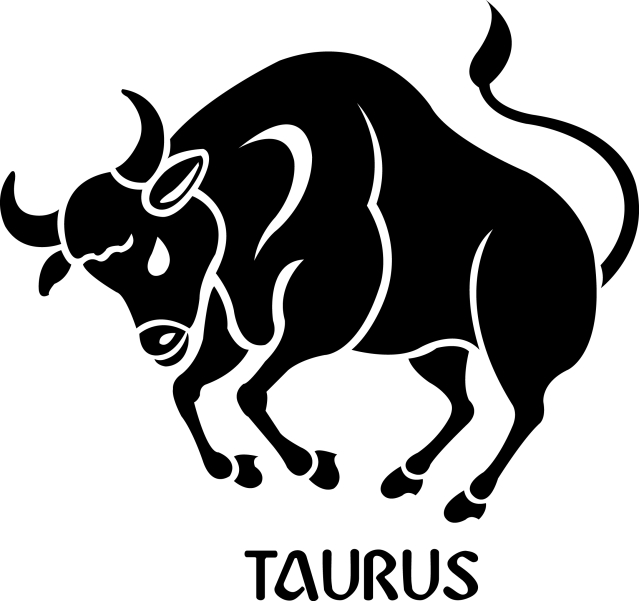Image result for taurus