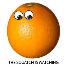 SQUATCHWATCH