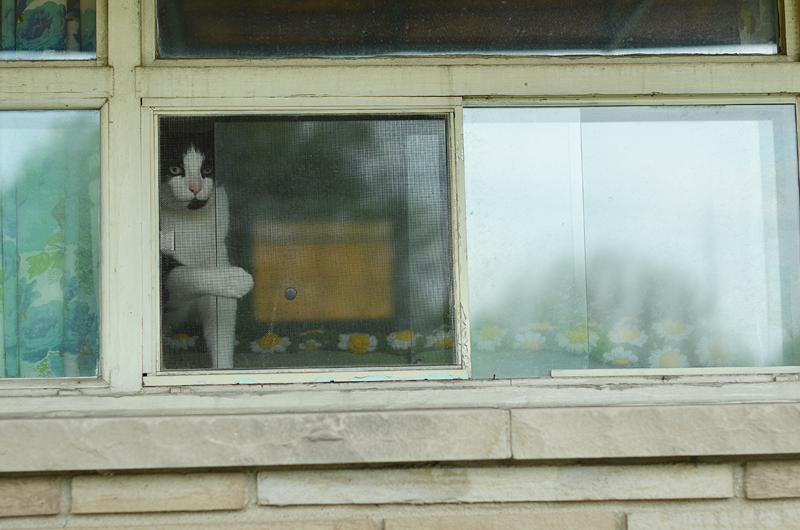  photo farvainthewindow_zps4b09694a.png