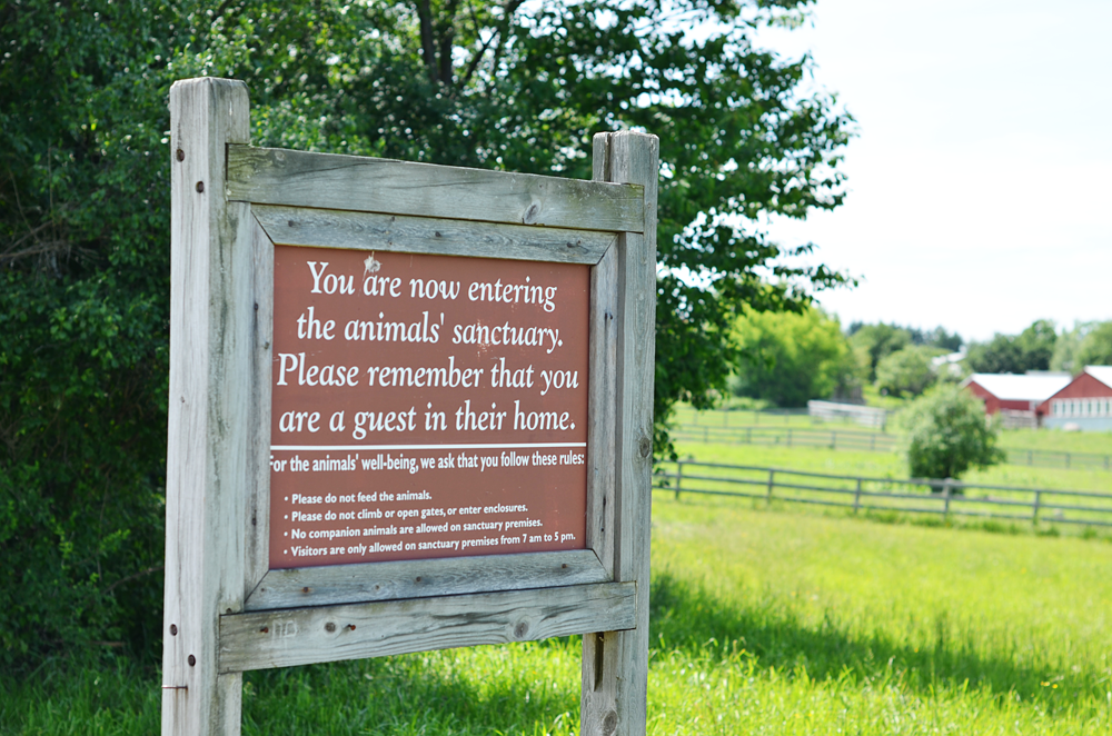  photo sign_zpsavlsj4cf.png