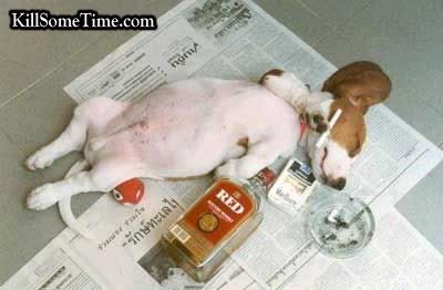 Drunk-Dog.jpg