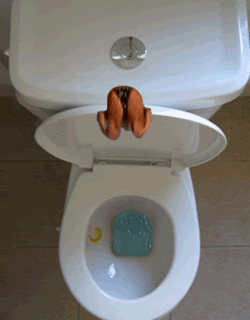 toilet-diving-7.gif