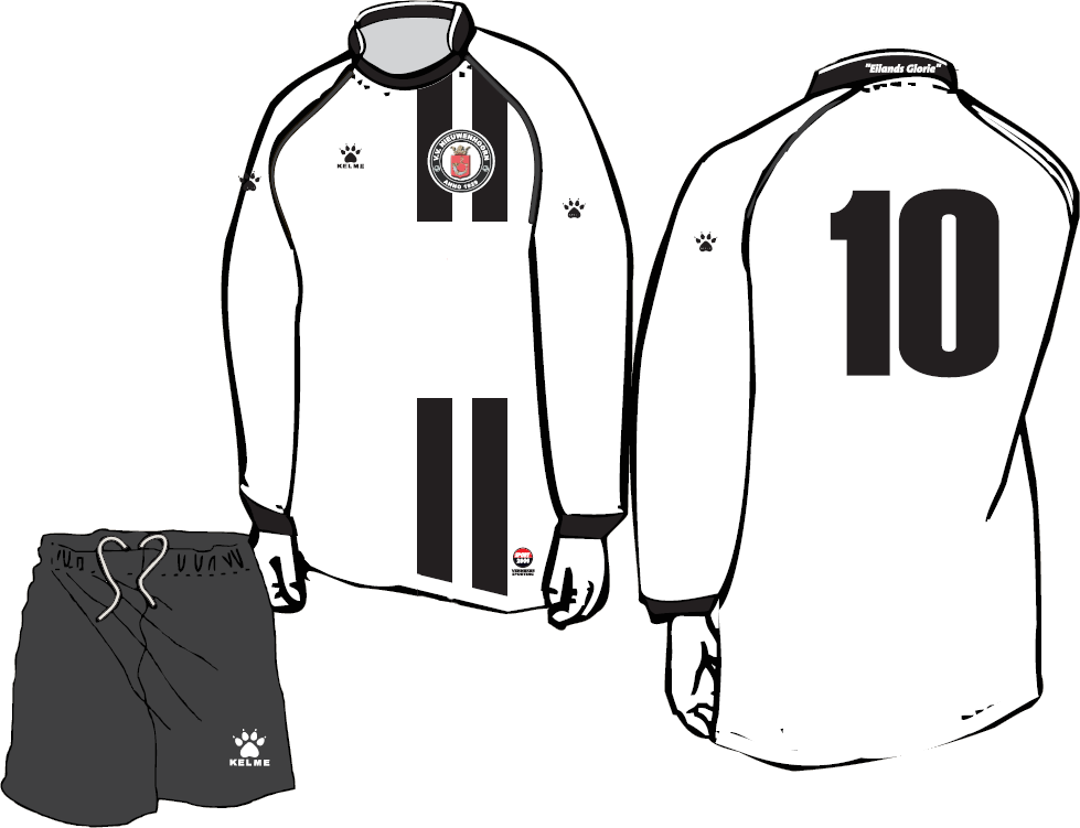 NHshirt.png