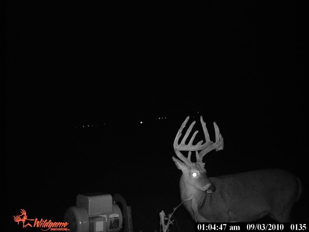 2010trailcam007.jpg