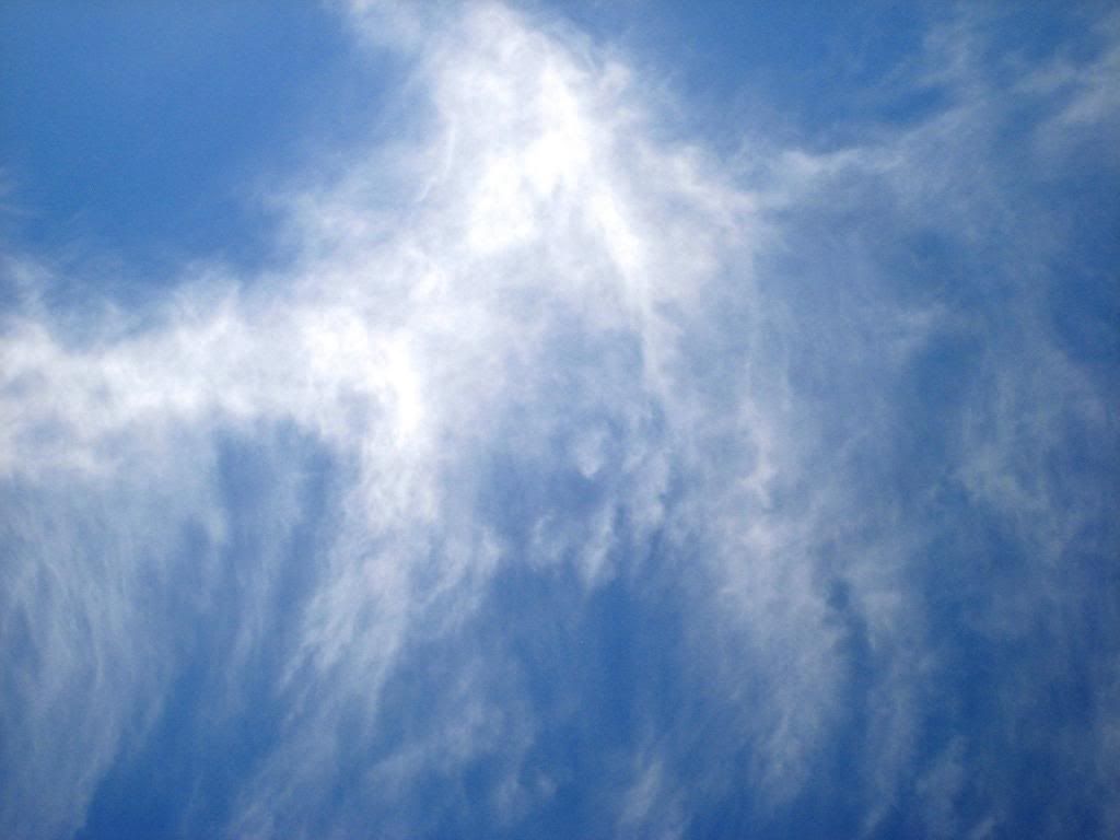 Wisps by Leslie Nipps