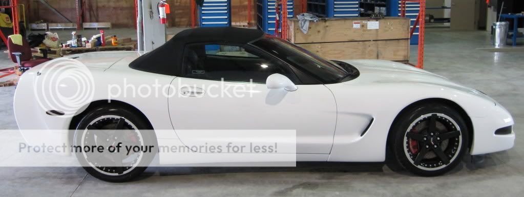 Thoughts on a White C5? - Page 4 - CorvetteForum - Chevrolet Corvette