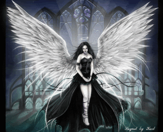 gothic angel 1 Pictures, Images and Photos