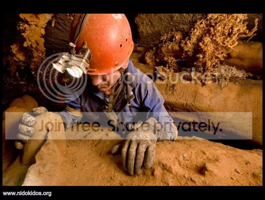 Slide10.jpg