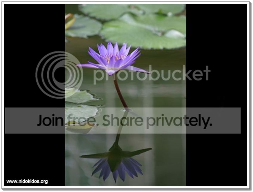 Slide4.jpg