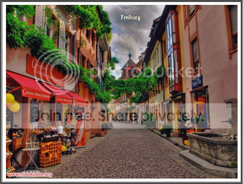 Slide11.jpg