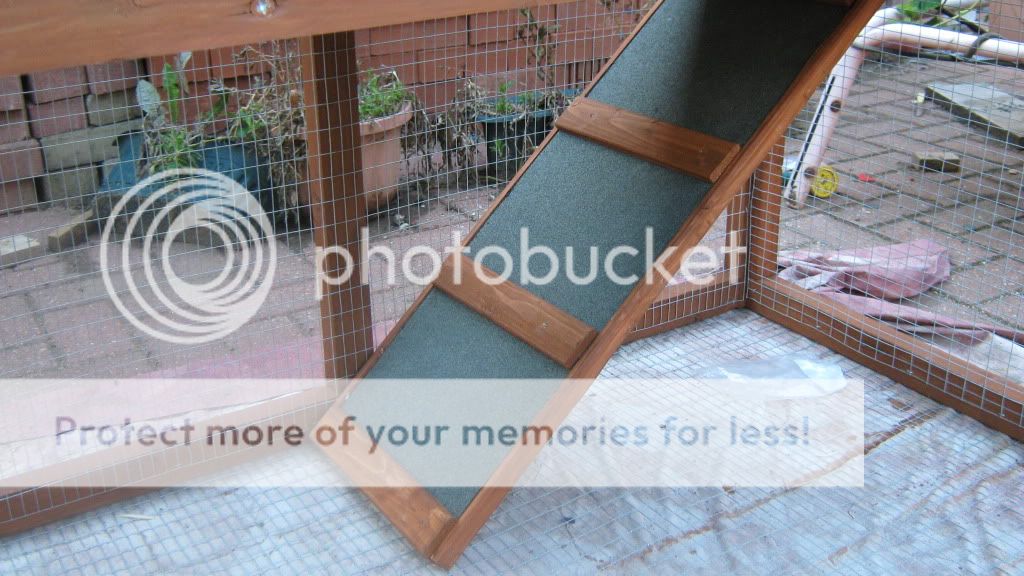 Scared to use ramp in hutch and litter training | Rabbits United